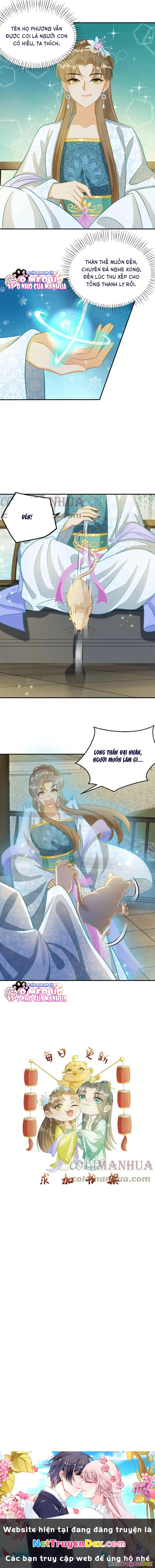 Thiên Tài Manh Bảo , Mẫu Thân Nghịch Thiên Bật Hack Rồi! Chapter 9 - Trang 3