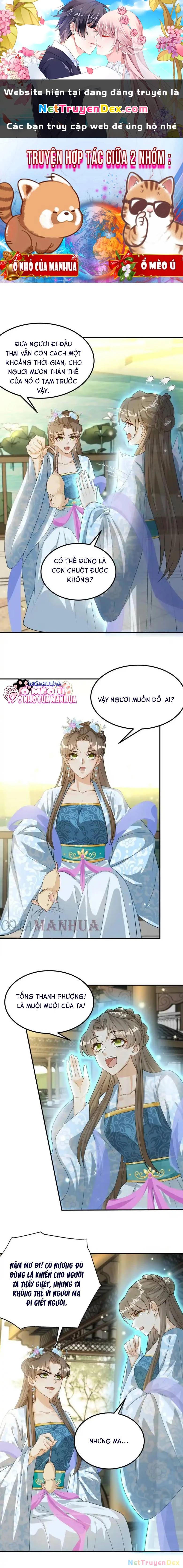 Thiên Tài Manh Bảo , Mẫu Thân Nghịch Thiên Bật Hack Rồi! Chapter 10 - Trang 3