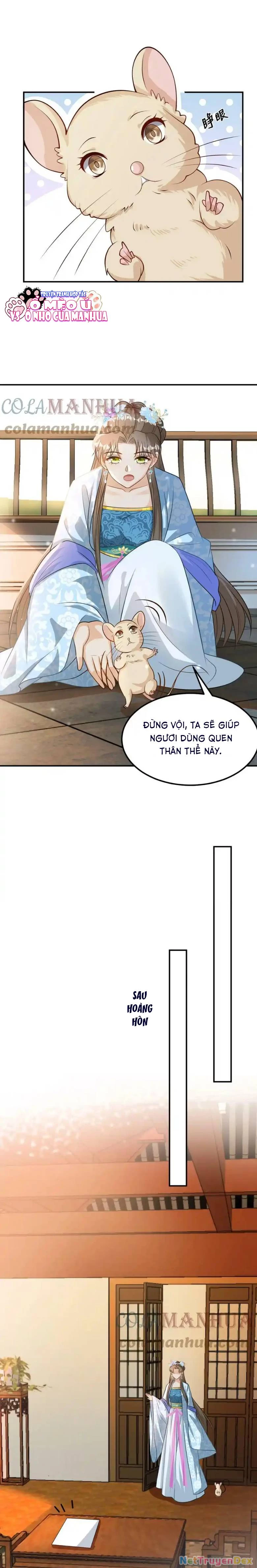 Thiên Tài Manh Bảo , Mẫu Thân Nghịch Thiên Bật Hack Rồi! Chapter 10 - Trang 3