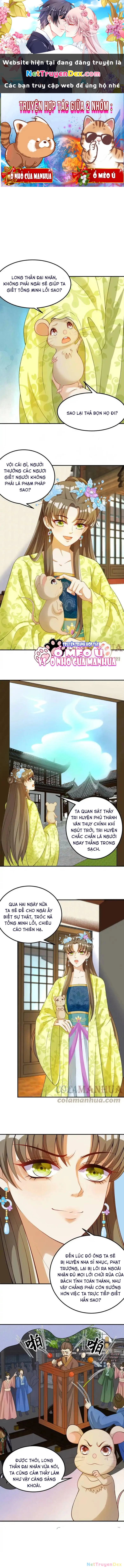 Thiên Tài Manh Bảo , Mẫu Thân Nghịch Thiên Bật Hack Rồi! Chapter 12 - Trang 3