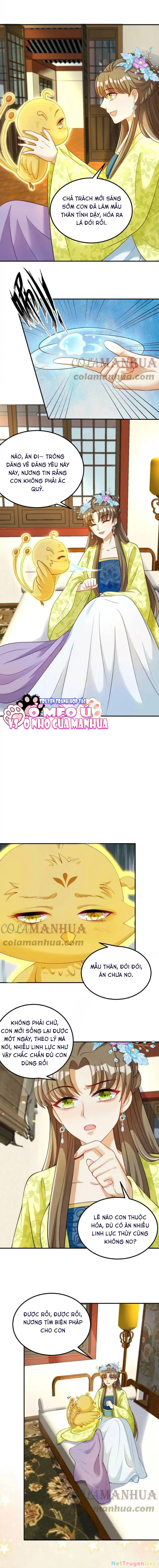 Thiên Tài Manh Bảo , Mẫu Thân Nghịch Thiên Bật Hack Rồi! Chapter 12 - Trang 3