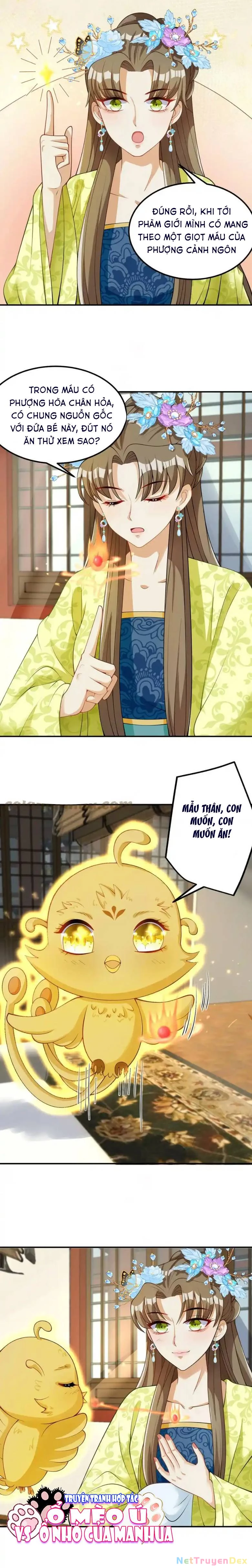 Thiên Tài Manh Bảo , Mẫu Thân Nghịch Thiên Bật Hack Rồi! Chapter 12 - Trang 3