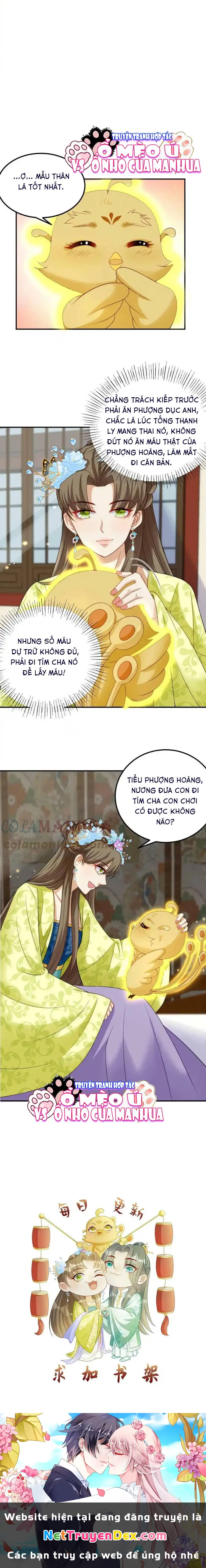 Thiên Tài Manh Bảo , Mẫu Thân Nghịch Thiên Bật Hack Rồi! Chapter 12 - Trang 3