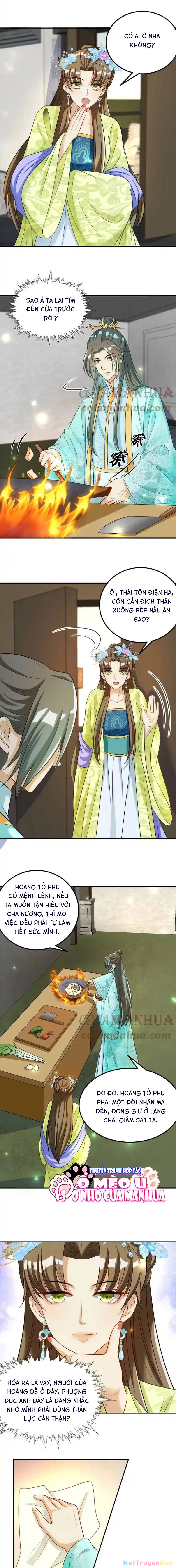 Thiên Tài Manh Bảo , Mẫu Thân Nghịch Thiên Bật Hack Rồi! Chapter 13 - Trang 3