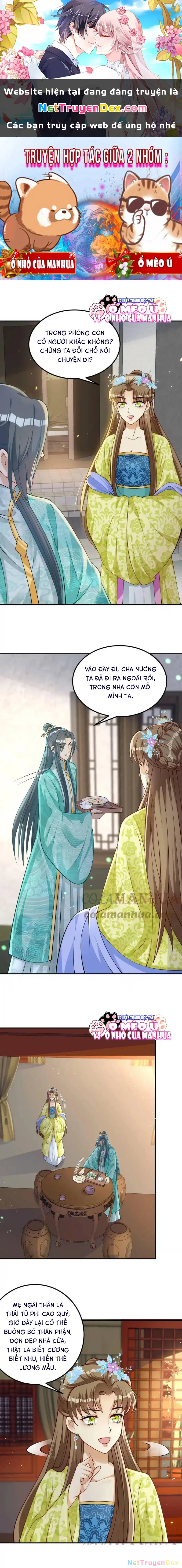 Thiên Tài Manh Bảo , Mẫu Thân Nghịch Thiên Bật Hack Rồi! Chapter 14 - Trang 3