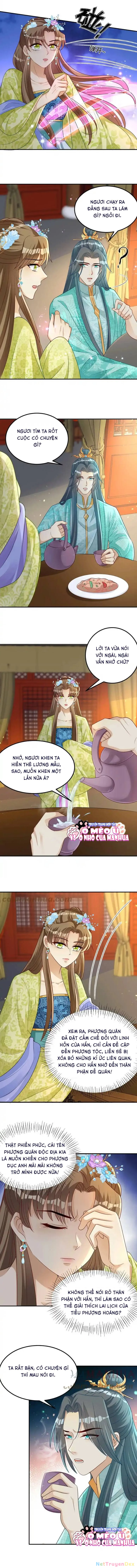 Thiên Tài Manh Bảo , Mẫu Thân Nghịch Thiên Bật Hack Rồi! Chapter 14 - Trang 3