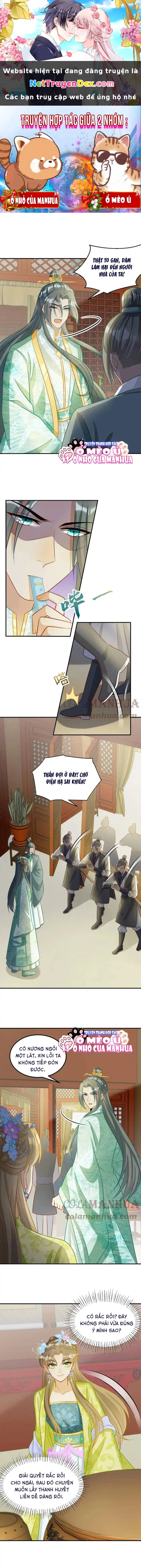 Thiên Tài Manh Bảo , Mẫu Thân Nghịch Thiên Bật Hack Rồi! Chapter 15 - Trang 3