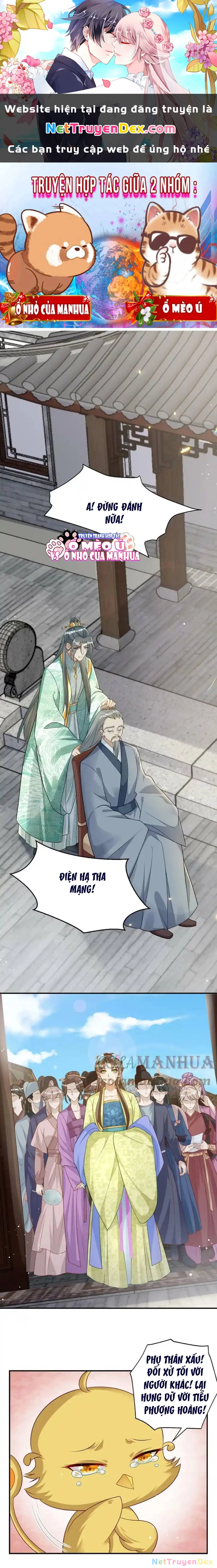 Thiên Tài Manh Bảo , Mẫu Thân Nghịch Thiên Bật Hack Rồi! Chapter 16 - Trang 3