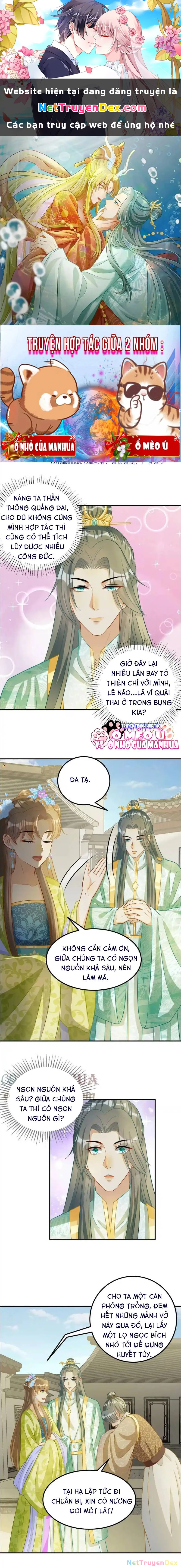 Thiên Tài Manh Bảo , Mẫu Thân Nghịch Thiên Bật Hack Rồi! Chapter 18 - Trang 3