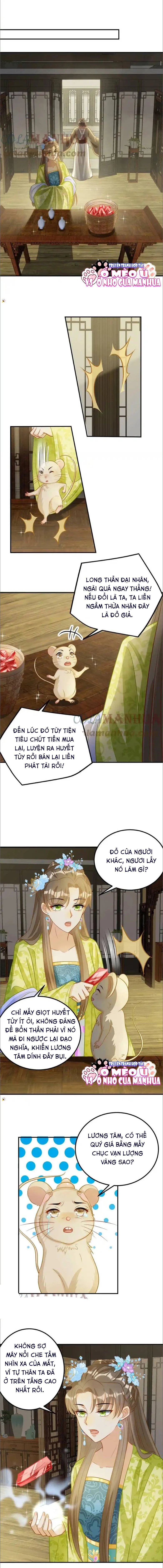 Thiên Tài Manh Bảo , Mẫu Thân Nghịch Thiên Bật Hack Rồi! Chapter 18 - Trang 3