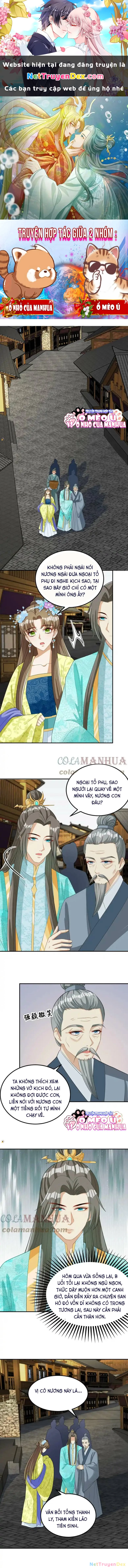 Thiên Tài Manh Bảo , Mẫu Thân Nghịch Thiên Bật Hack Rồi! Chapter 21 - Trang 3