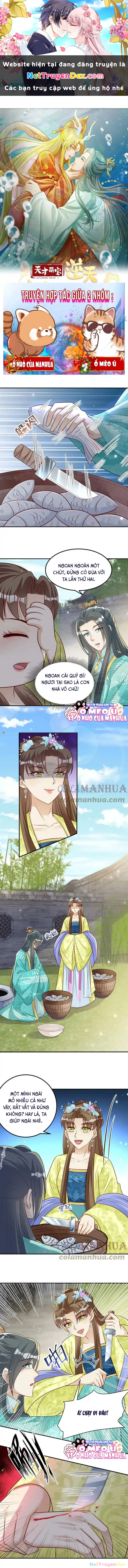 Thiên Tài Manh Bảo , Mẫu Thân Nghịch Thiên Bật Hack Rồi! Chapter 22 - Trang 3