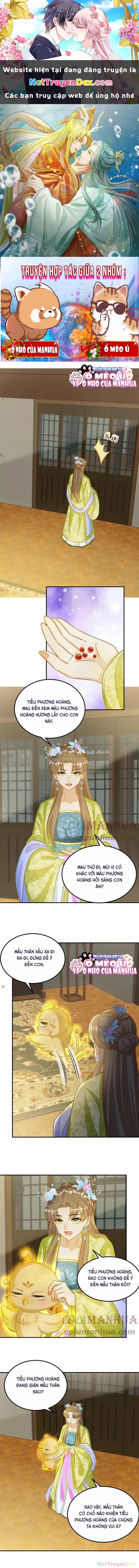 Thiên Tài Manh Bảo , Mẫu Thân Nghịch Thiên Bật Hack Rồi! Chapter 23 - Trang 3