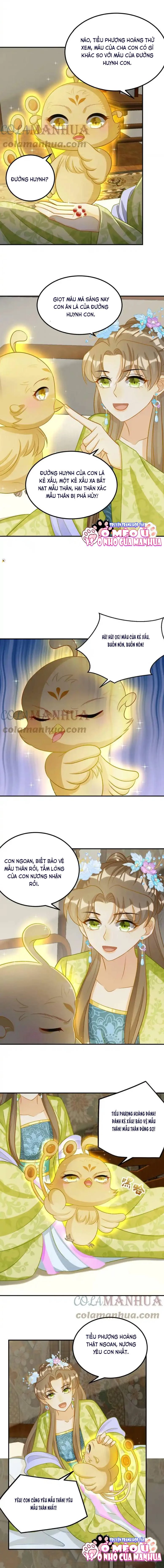 Thiên Tài Manh Bảo , Mẫu Thân Nghịch Thiên Bật Hack Rồi! Chapter 23 - Trang 3