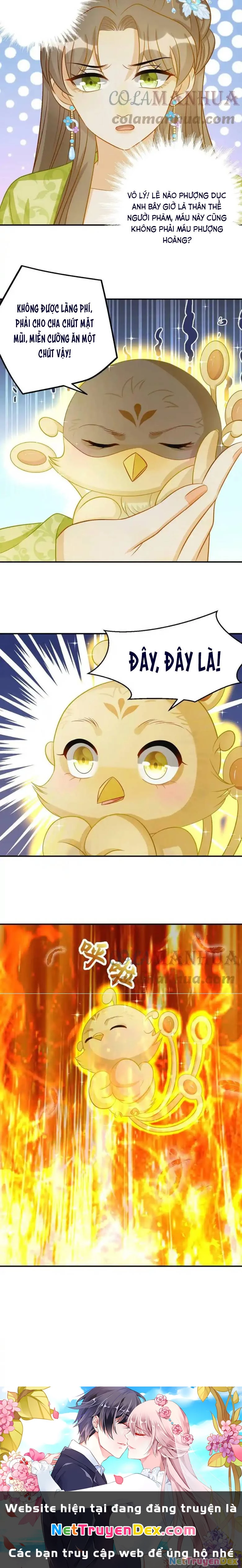 Thiên Tài Manh Bảo , Mẫu Thân Nghịch Thiên Bật Hack Rồi! Chapter 23 - Trang 3