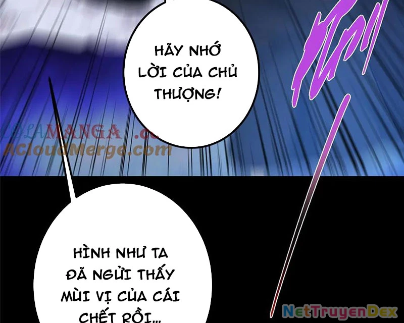 Chưởng Môn Khiêm Tốn Chút Chapter 456 - Trang 4