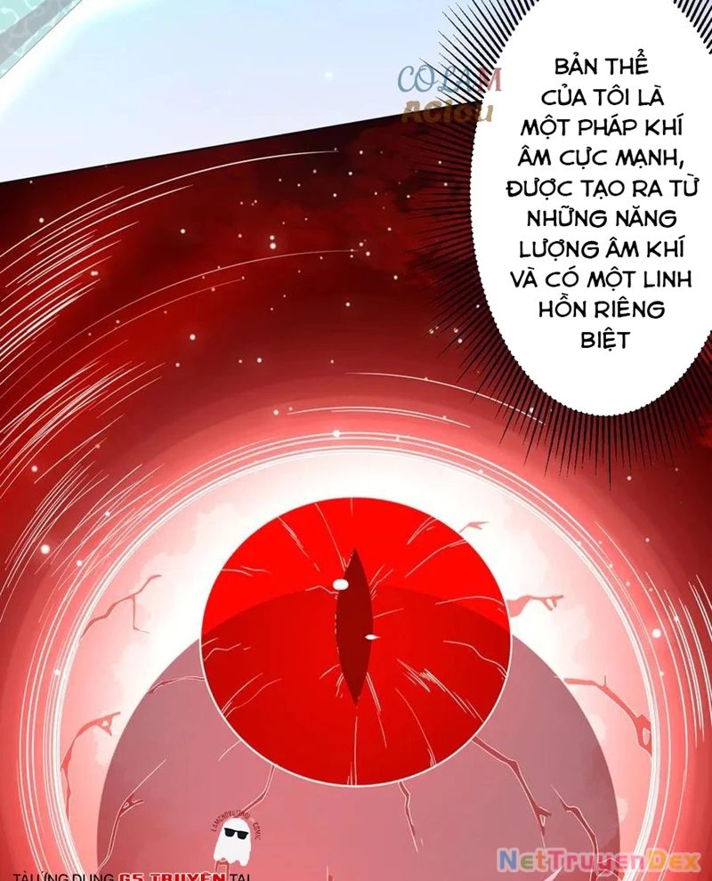 Bắt Đầu Với Trăm Vạn Minh Tệ Chapter 203 - Trang 4