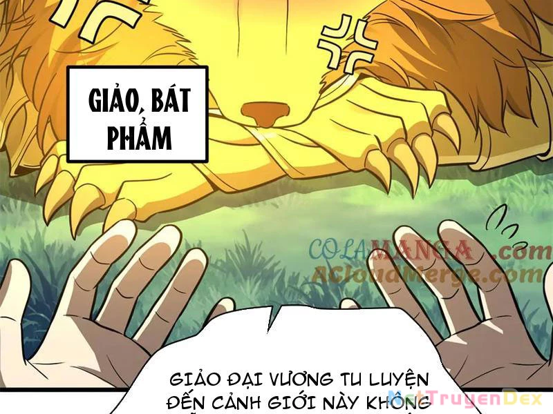 Toàn Cầu Cao Võ Chapter 291 - Trang 4
