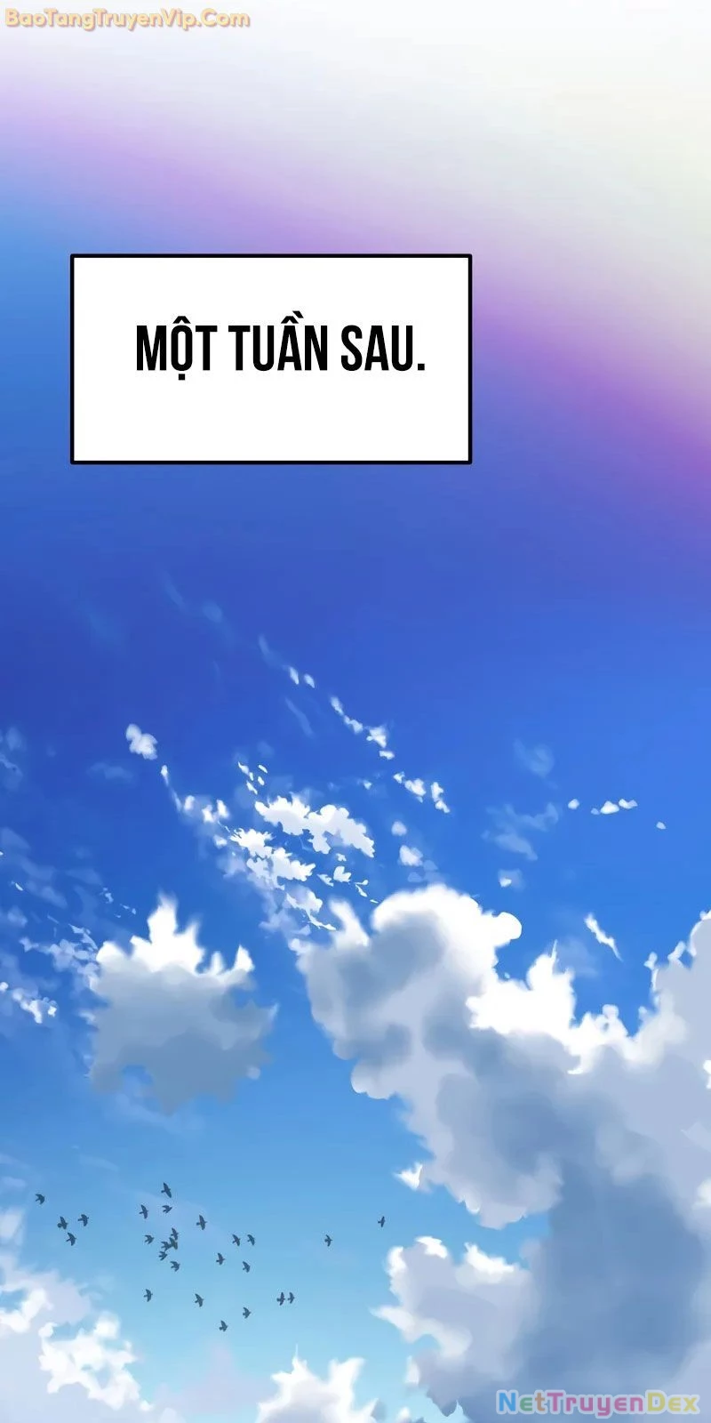 Con Trai Út Của Đại Pháp Sư Lừng Danh Chapter 77 - Trang 4