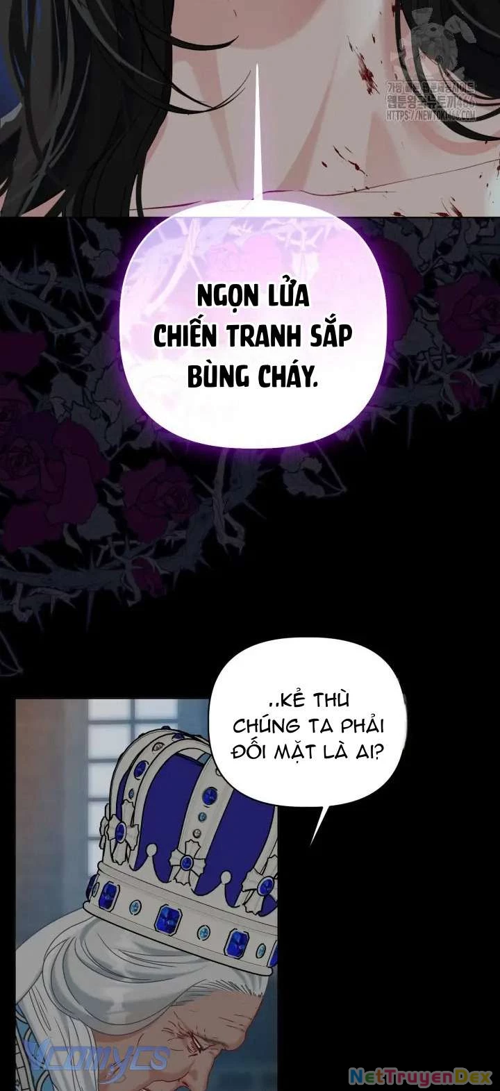 Sự Điều Trị Đặc Biệt Của Tinh Linh Chapter 95 - Trang 4