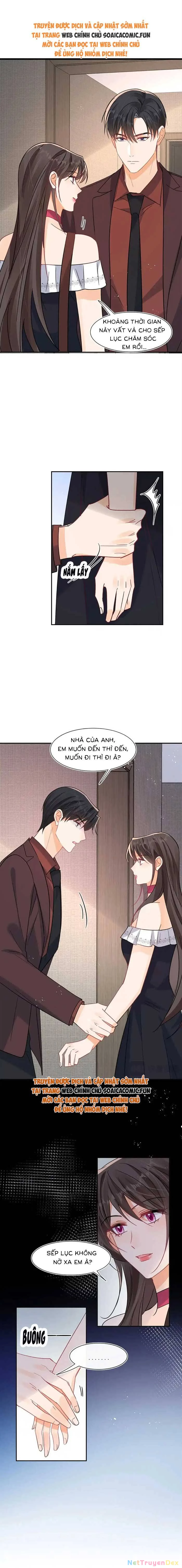Cùng Lục Gia Yêu Đương Vụng Trộm Chapter 107 - Trang 4