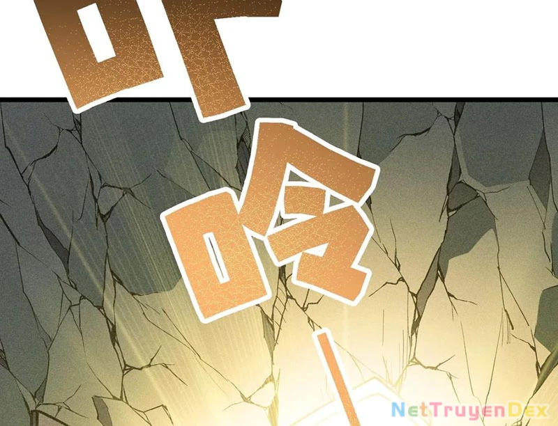 Ta Làm Súc Vật Ở Tu Tiên Giới Chapter 28 - Trang 2