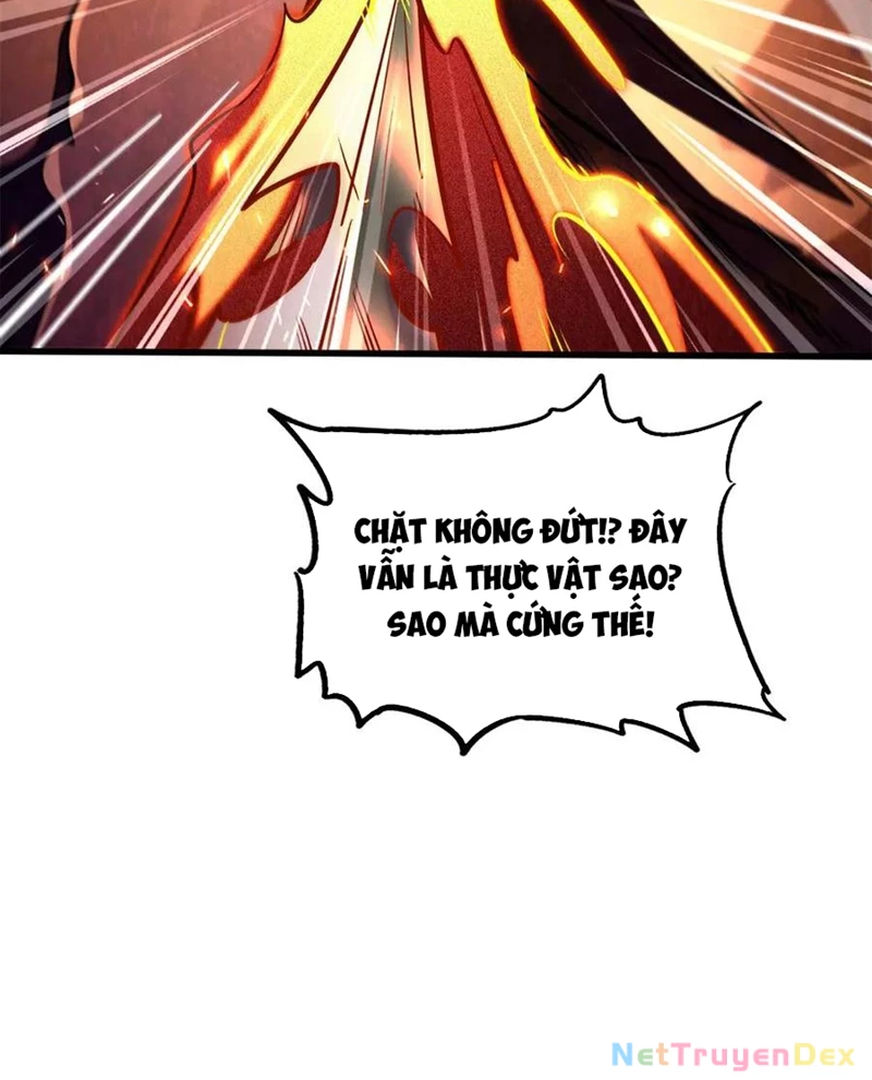 Siêu Cấp Thần Cơ Nhân Chapter 318 - Trang 4