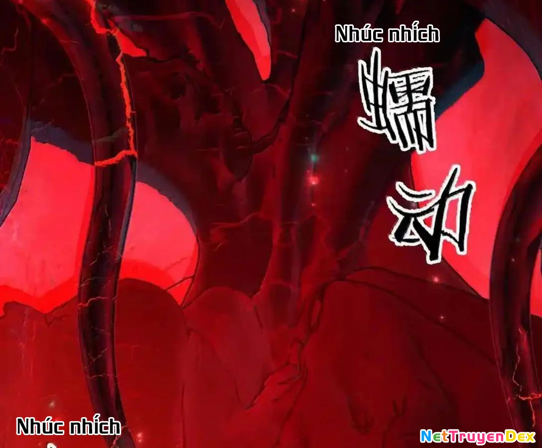 Vượt Cấp Xuyên Không, Tại Sao Tôi Lại Trở Thành Tiểu Thư Tu Sĩ? Chapter 19 - Trang 3