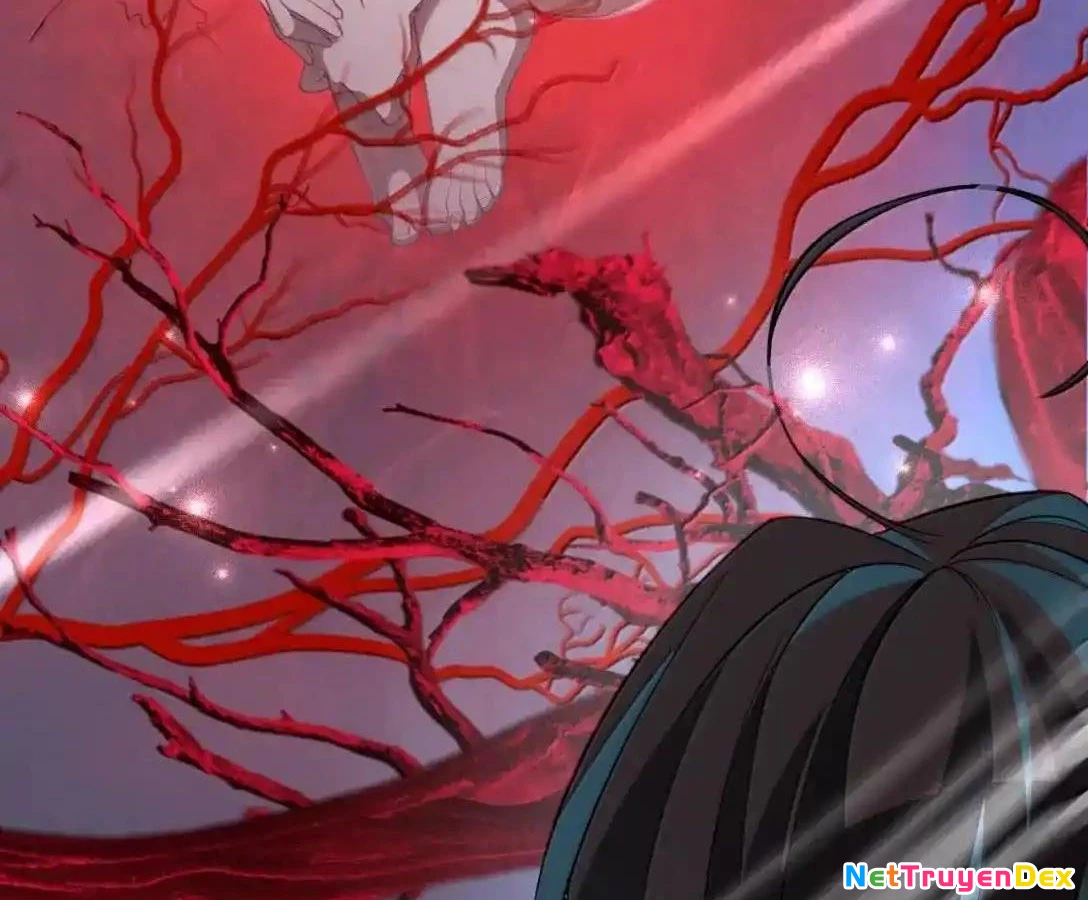 Vượt Cấp Xuyên Không, Tại Sao Tôi Lại Trở Thành Tiểu Thư Tu Sĩ? Chapter 19 - Trang 3