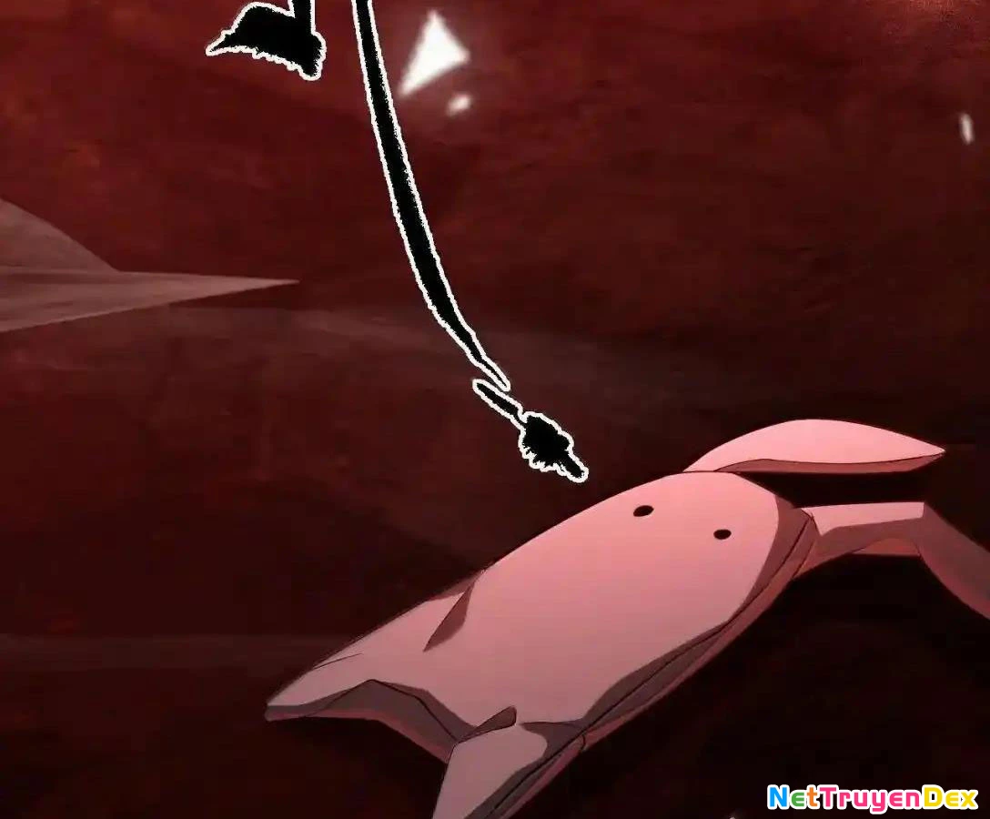 Vượt Cấp Xuyên Không, Tại Sao Tôi Lại Trở Thành Tiểu Thư Tu Sĩ? Chapter 19 - Trang 3