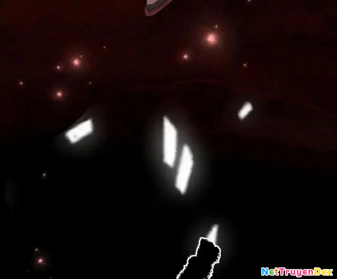 Vượt Cấp Xuyên Không, Tại Sao Tôi Lại Trở Thành Tiểu Thư Tu Sĩ? Chapter 19 - Trang 3