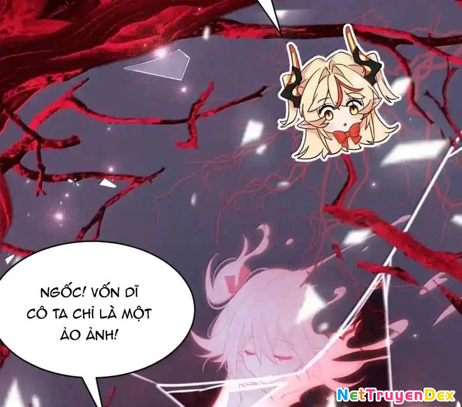 Vượt Cấp Xuyên Không, Tại Sao Tôi Lại Trở Thành Tiểu Thư Tu Sĩ? Chapter 20 - Trang 3