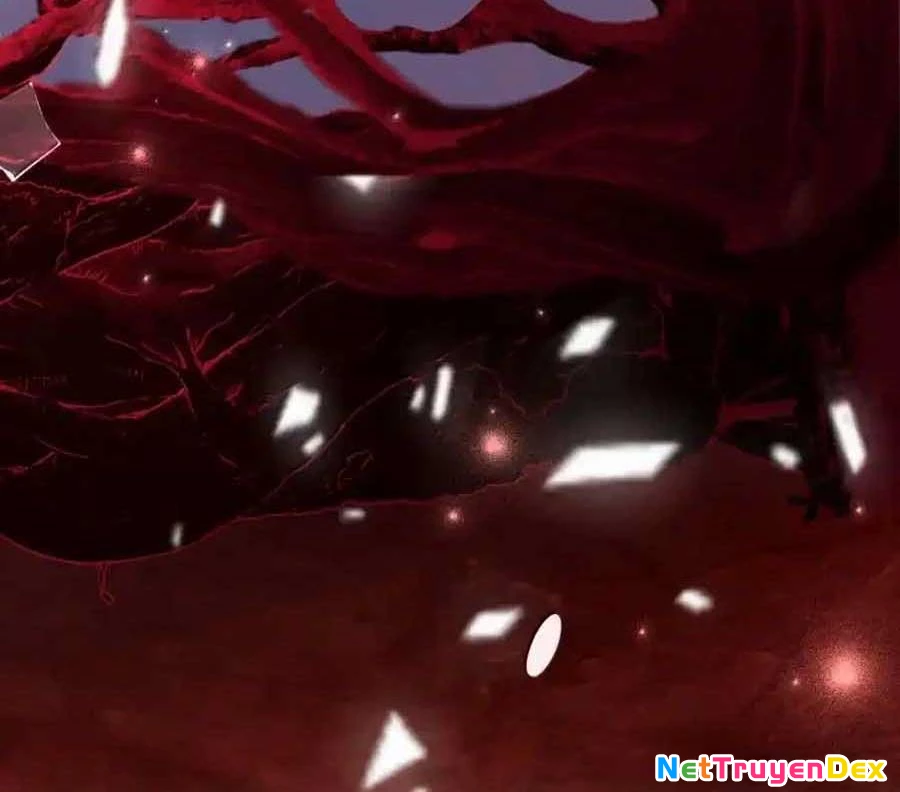 Vượt Cấp Xuyên Không, Tại Sao Tôi Lại Trở Thành Tiểu Thư Tu Sĩ? Chapter 20 - Trang 3