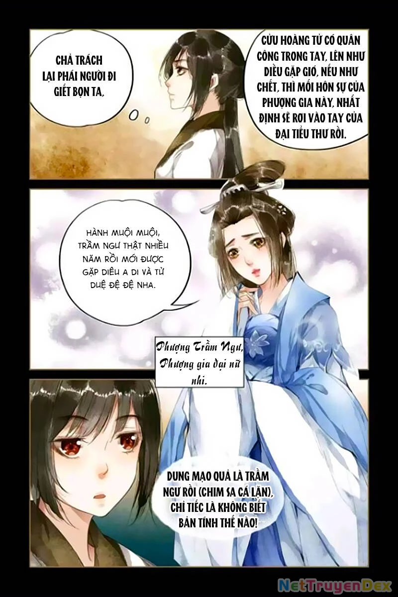 Thần Y Đích Nữ Chapter 8 - Trang 4