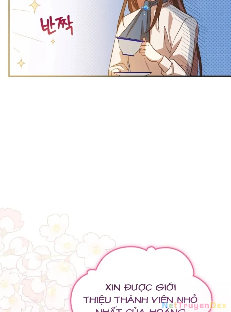 Hãy trở thành chị gái của tôi nào! Chapter 1 - Trang 2