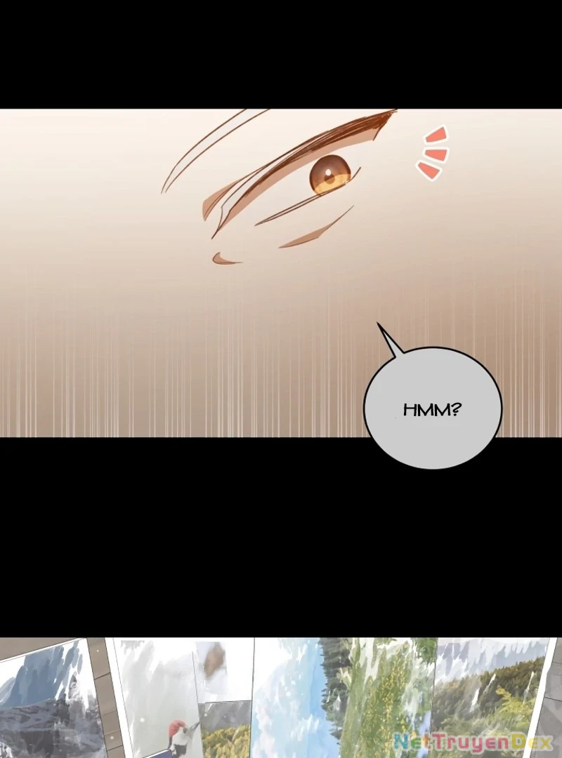 Hãy trở thành chị gái của tôi nào! Chapter 2 - Trang 2