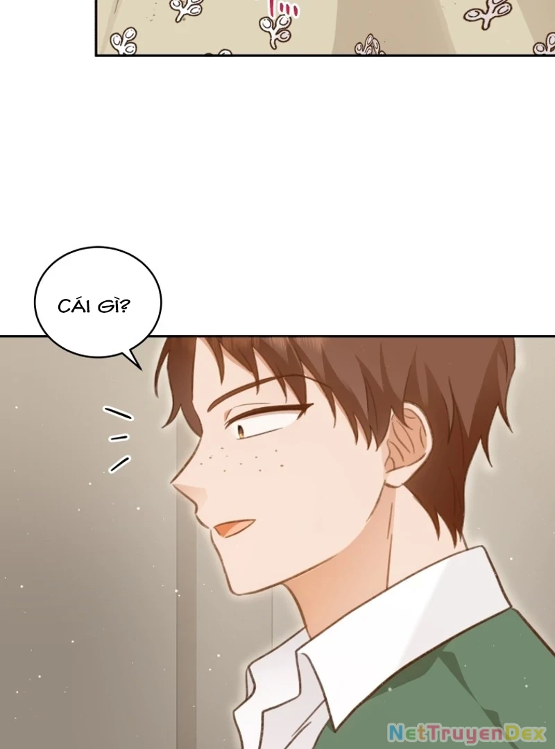 Hãy trở thành chị gái của tôi nào! Chapter 3 - Trang 2