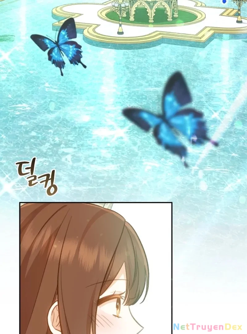 Hãy trở thành chị gái của tôi nào! Chapter 5 - Trang 2