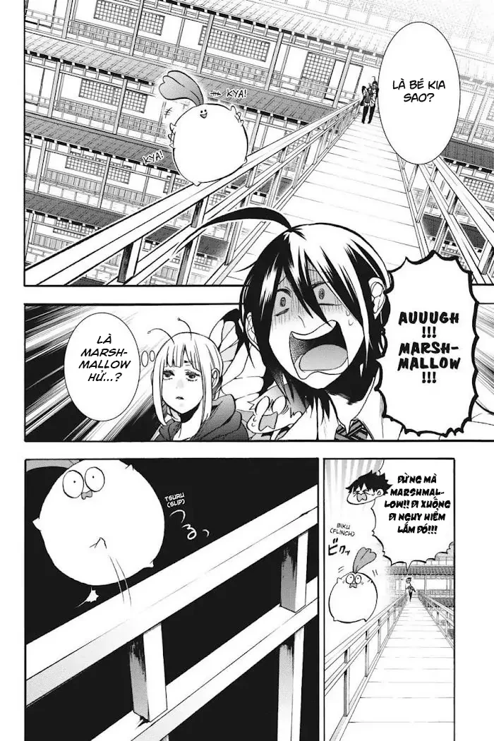 Youkai Gakkou no Sensei Hajimemashita! Chapter 17 - Trang 2