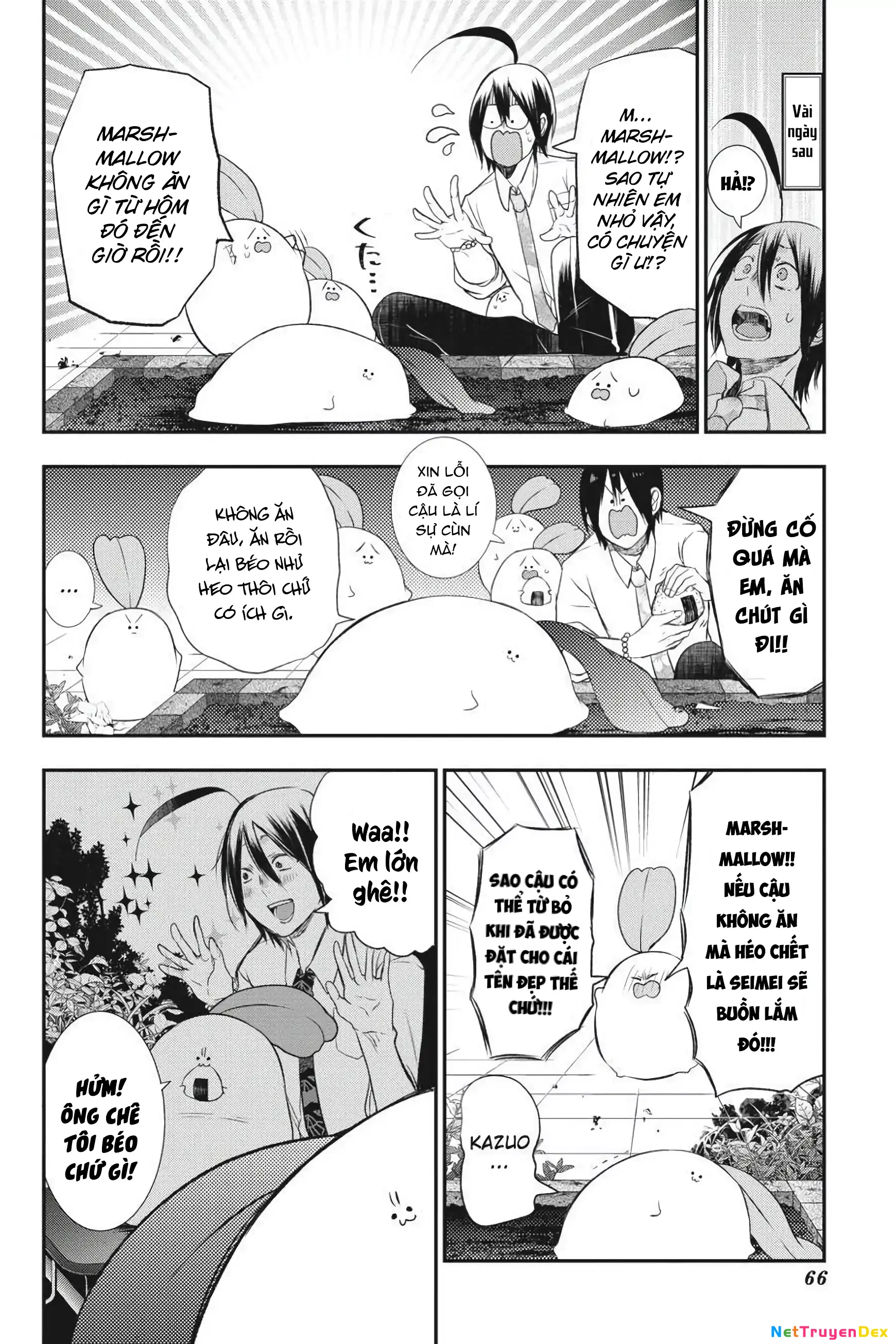 Youkai Gakkou no Sensei Hajimemashita! Chapter 27 - Trang 2