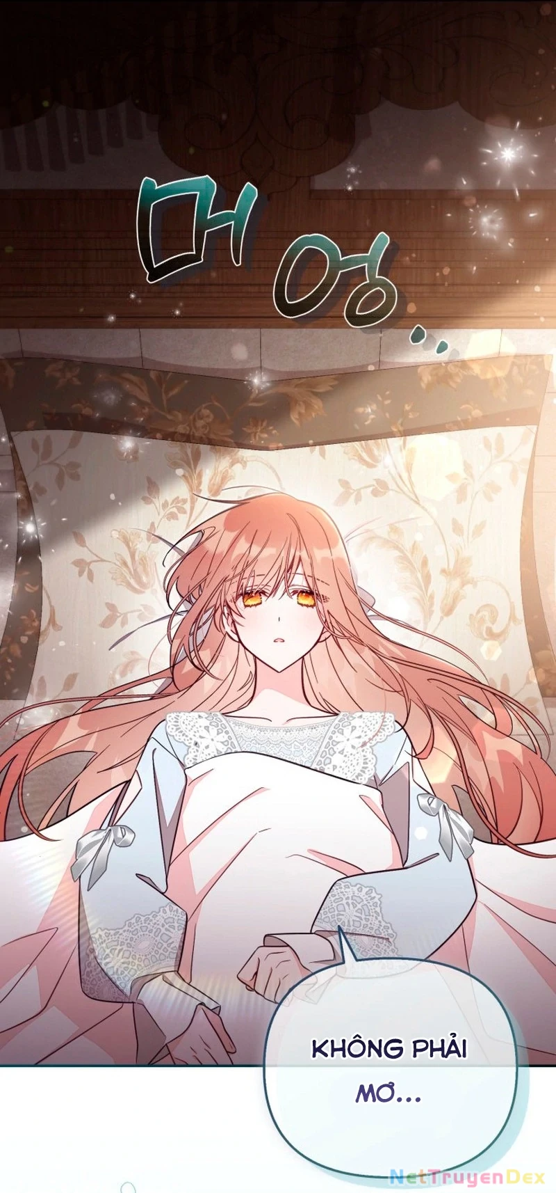 Không Có Nơi Nào Dành Cho Công Chúa Giả Mạo Chapter 72 - Trang 3