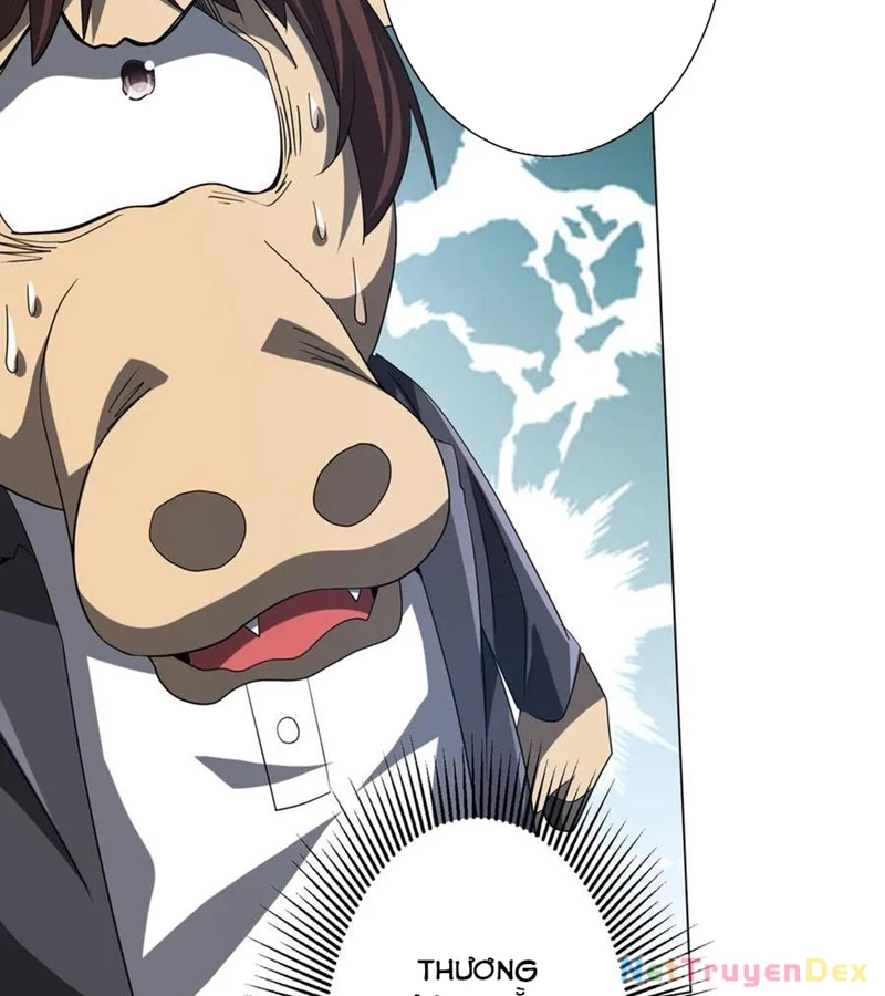 Bắt Đầu Với Trăm Vạn Minh Tệ Chapter 204 - Trang 2