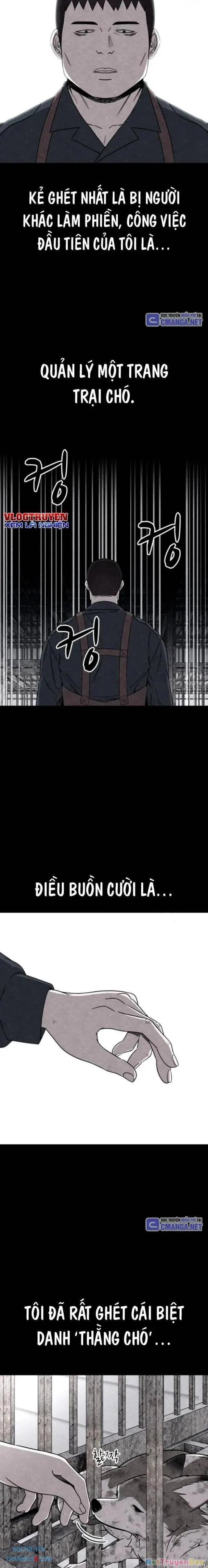 Xác Sống Và Sát Nhân Chapter 80 - Trang 4