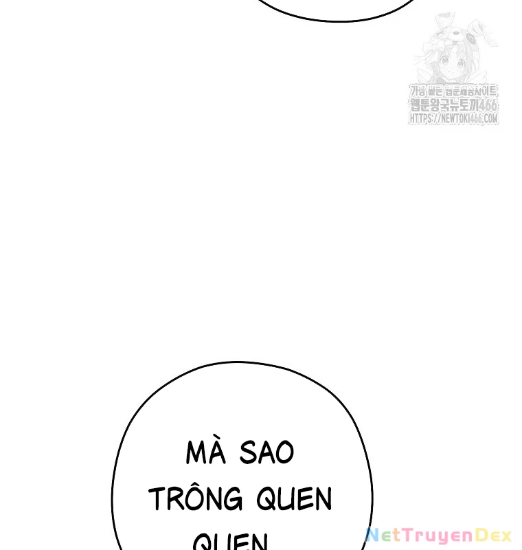 Tái Thiết Hầm Ngục Chapter 231 - Next Chapter 232