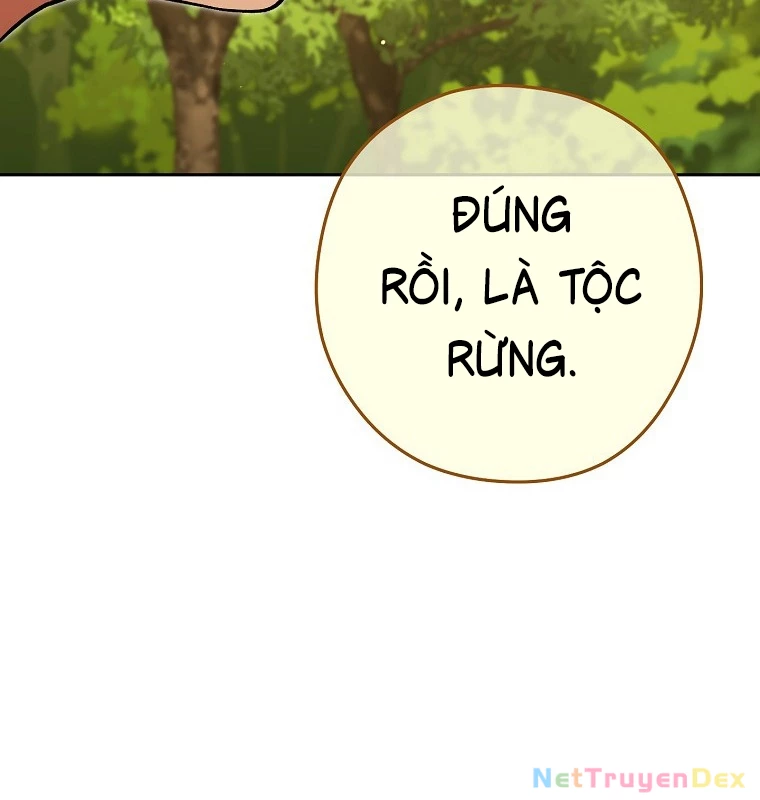 Tái Thiết Hầm Ngục Chapter 231 - Next Chapter 232