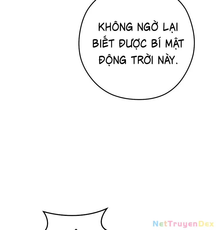 Tái Thiết Hầm Ngục Chapter 231 - Next Chapter 232