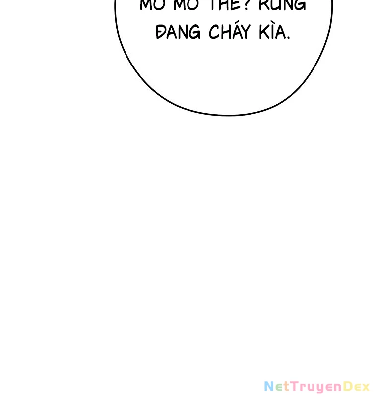 Tái Thiết Hầm Ngục Chapter 231 - Next Chapter 232