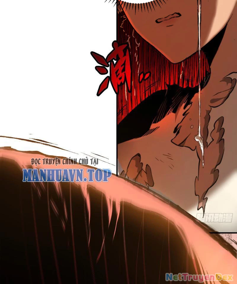 Mệnh Luân Chi Chủ! Khi Dị Biến Giáng Lâm Nhân Gian! Chapter 1 - Trang 3