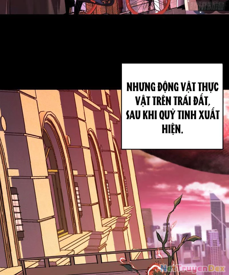 Mệnh Luân Chi Chủ! Khi Dị Biến Giáng Lâm Nhân Gian! Chapter 1 - Trang 3