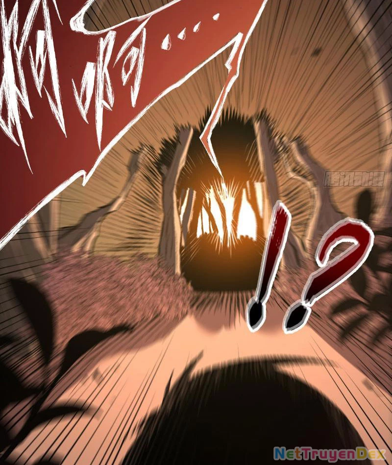 Mệnh Luân Chi Chủ! Khi Dị Biến Giáng Lâm Nhân Gian! Chapter 2 - Trang 3